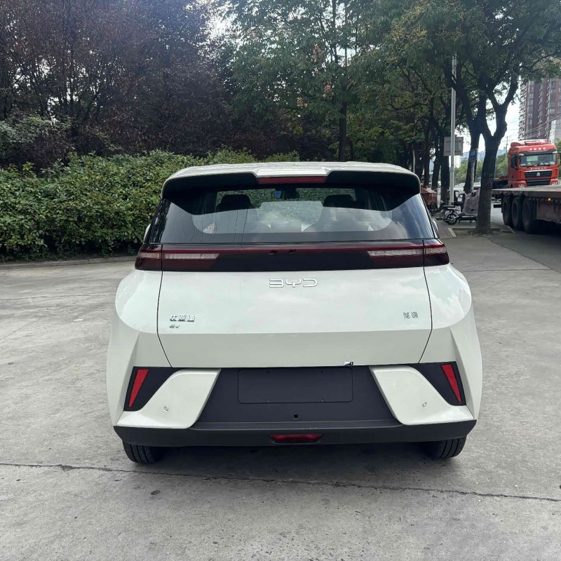 Seagull 2025 Smart Driving Edition 305km Vitality Edition Seagull 2025 Smart Driving Edition 305km Vitality Edition