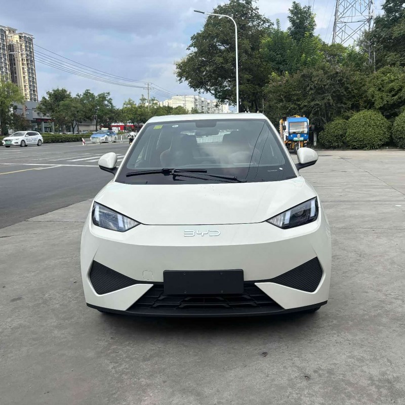 Seagull 2025 Smart Driving Edition 305km Vitality Edition Seagull 2025 Smart Driving Edition 305km Vitality Edition