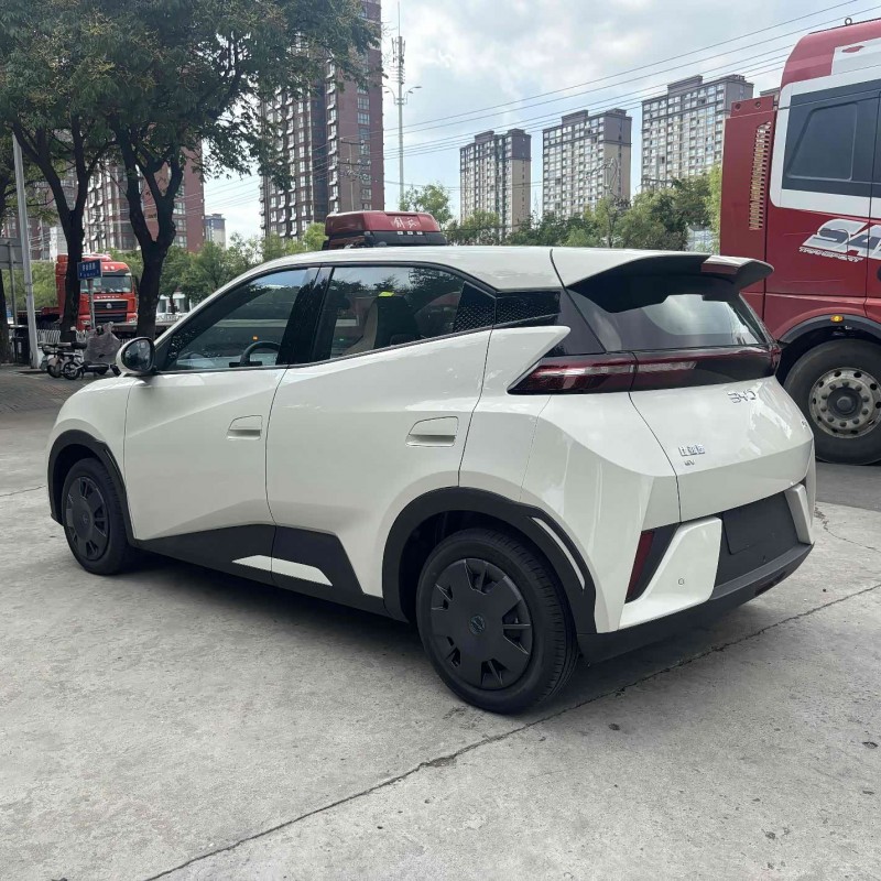 Seagull 2025 Smart Driving Edition 305km Vitality Edition Seagull 2025 Smart Driving Edition 305km Vitality Edition
