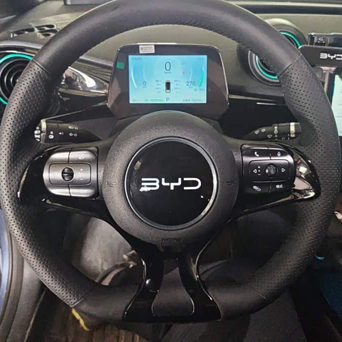 Dolphin 2024 Glory Edition 420km Fashion Edition Dolphin 2024 Glory Edition 420km Fashion Edition