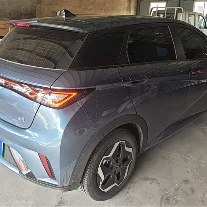 Dolphin 2024 Glory Edition 420km Fashion Edition Dolphin 2024 Glory Edition 420km Fashion Edition