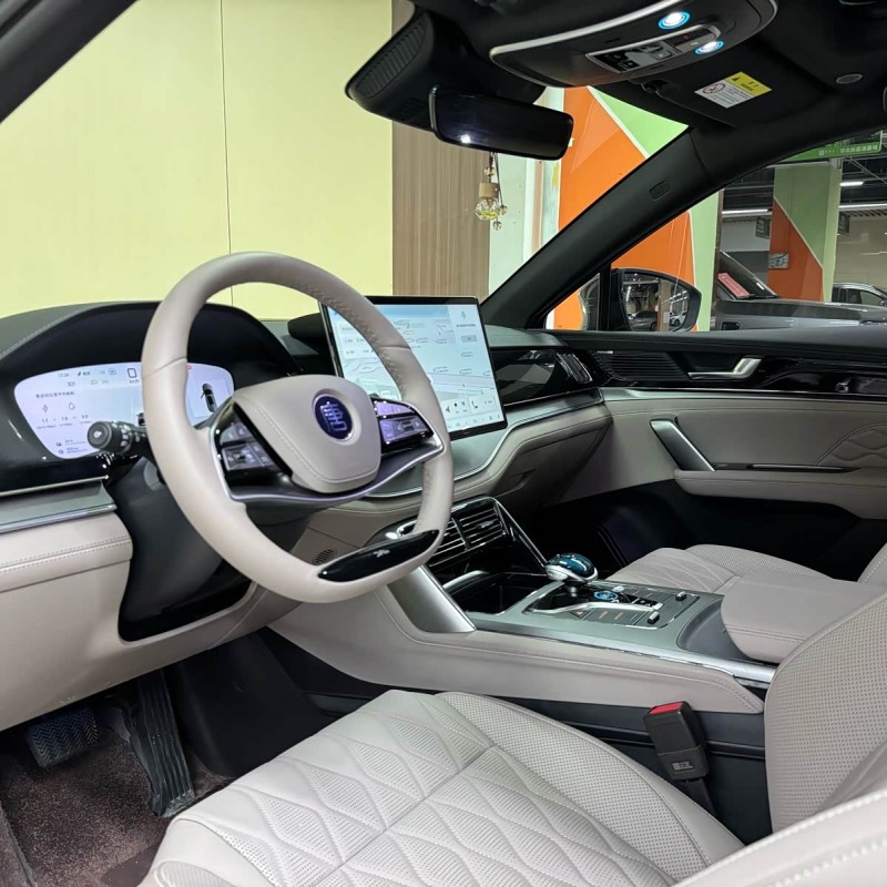Tang New Energy 2025 DM-i 115KM Premium Edition Tang New Energy 2025 DM-i 115KM Premium Edition