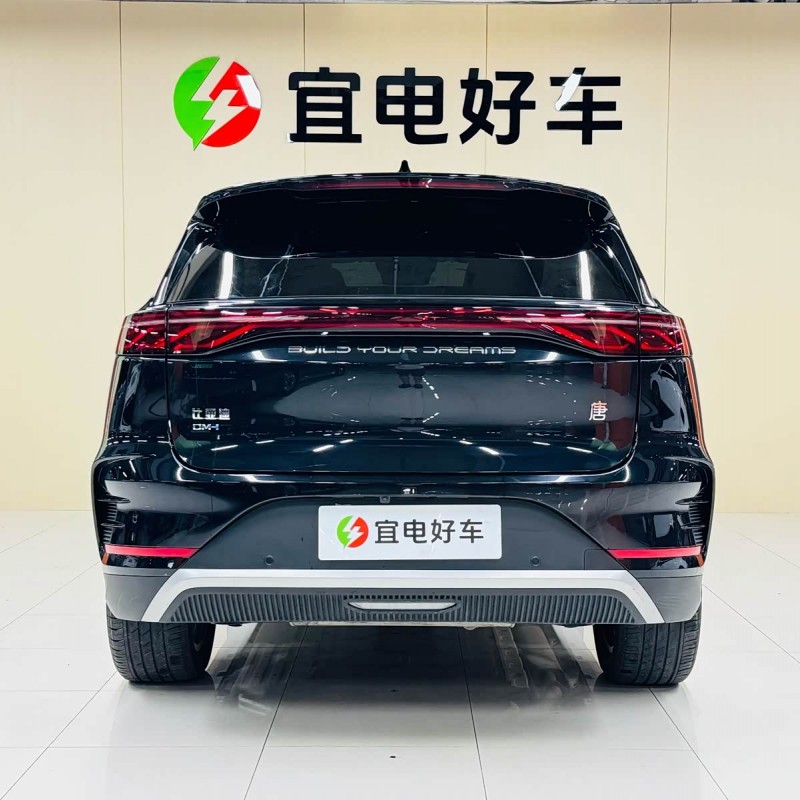 Tang New Energy 2025 DM-i 115KM Premium Edition Tang New Energy 2025 DM-i 115KM Premium Edition