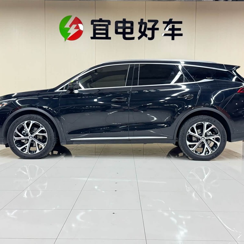 Tang New Energy 2025 DM-i 115KM Premium Edition Tang New Energy 2025 DM-i 115KM Premium Edition