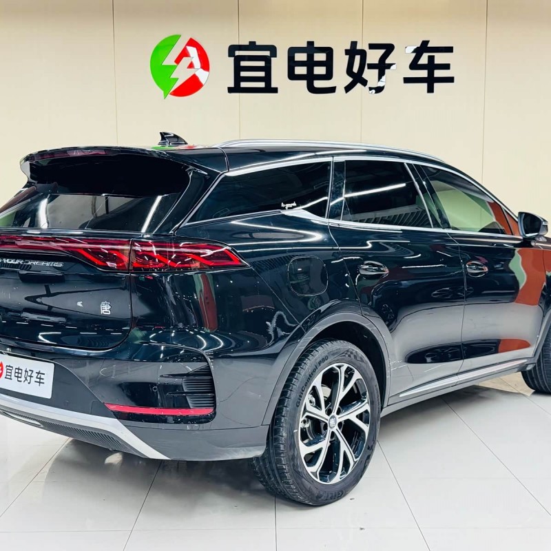 Tang New Energy 2025 DM-i 115KM Premium Edition Tang New Energy 2025 DM-i 115KM Premium Edition