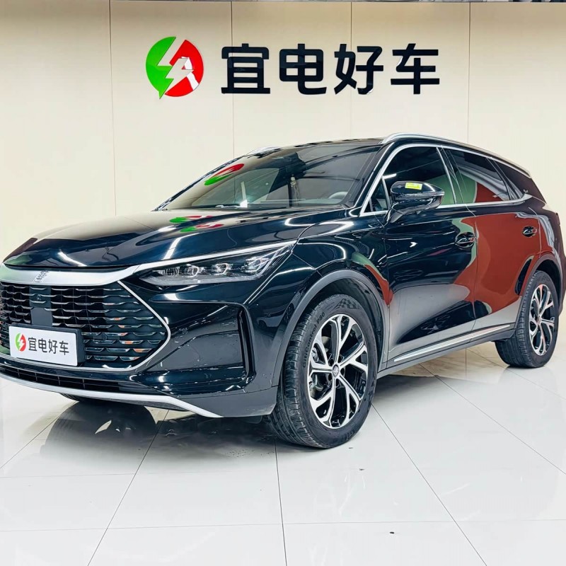 Tang New Energy 2025 DM-i 115KM Premium Edition Tang New Energy 2025 DM-i 115KM Premium Edition
