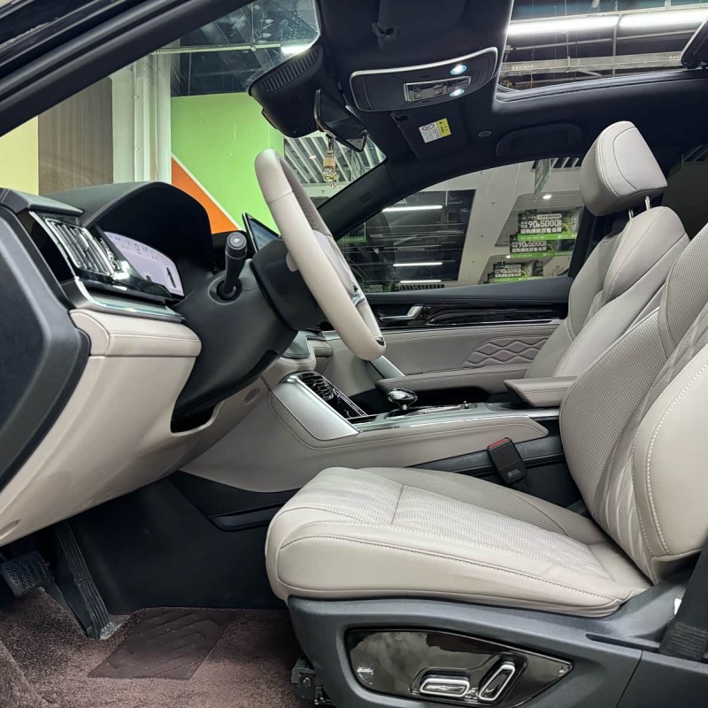 Tang New Energy 2025 DM-i 115KM Premium Edition Tang New Energy 2025 DM-i 115KM Premium Edition