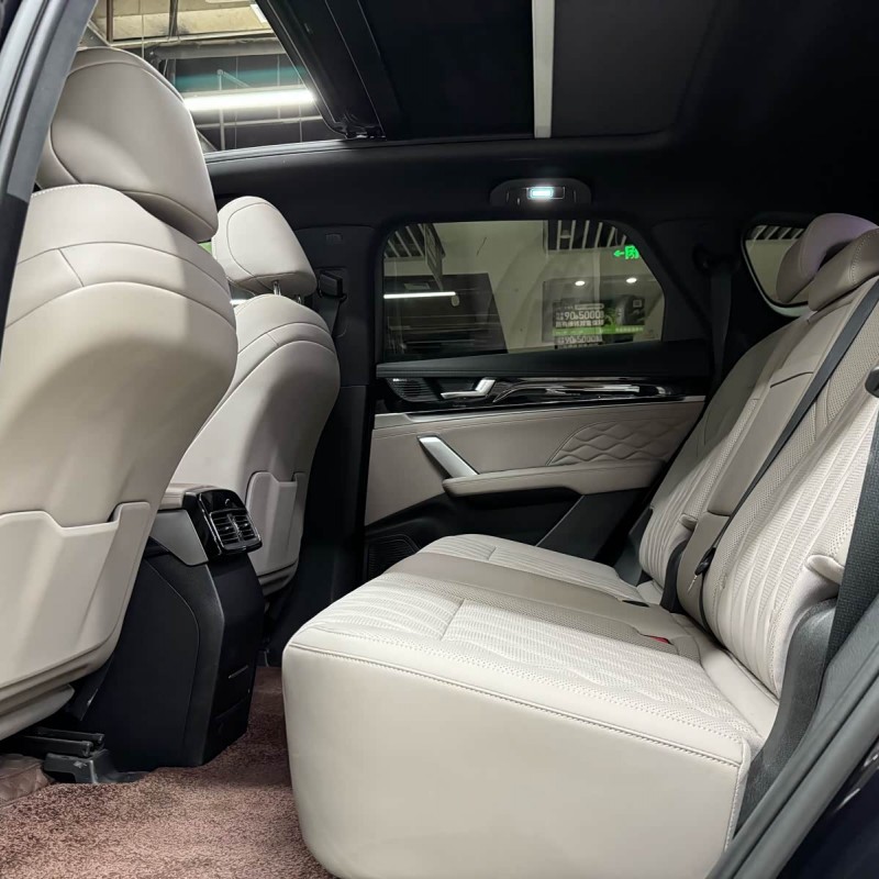 Tang New Energy 2025 DM-i 115KM Premium Edition Tang New Energy 2025 DM-i 115KM Premium Edition