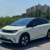 Dolphin 2024 Glory Edition 420km Fashion Edition