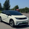 Dolphin 2024 Glory Edition 420km Fashion Edition