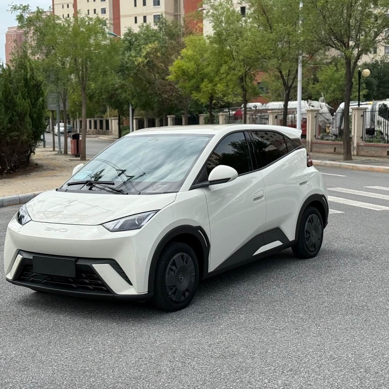 Seagull 2023 Vitality Edition Seagull 2023 Vitality Edition