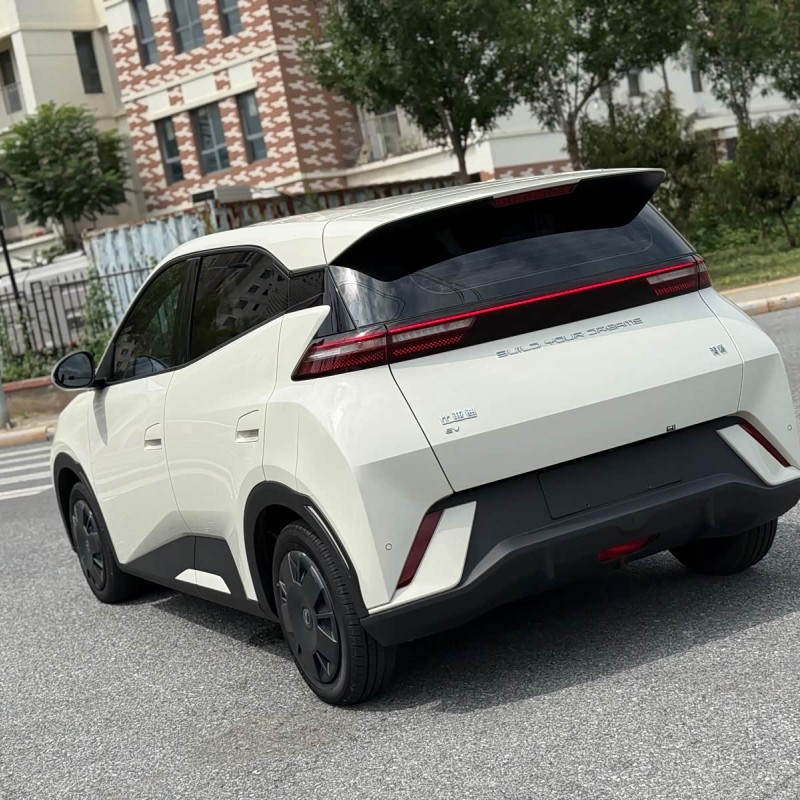 Seagull 2023 Vitality Edition Seagull 2023 Vitality Edition