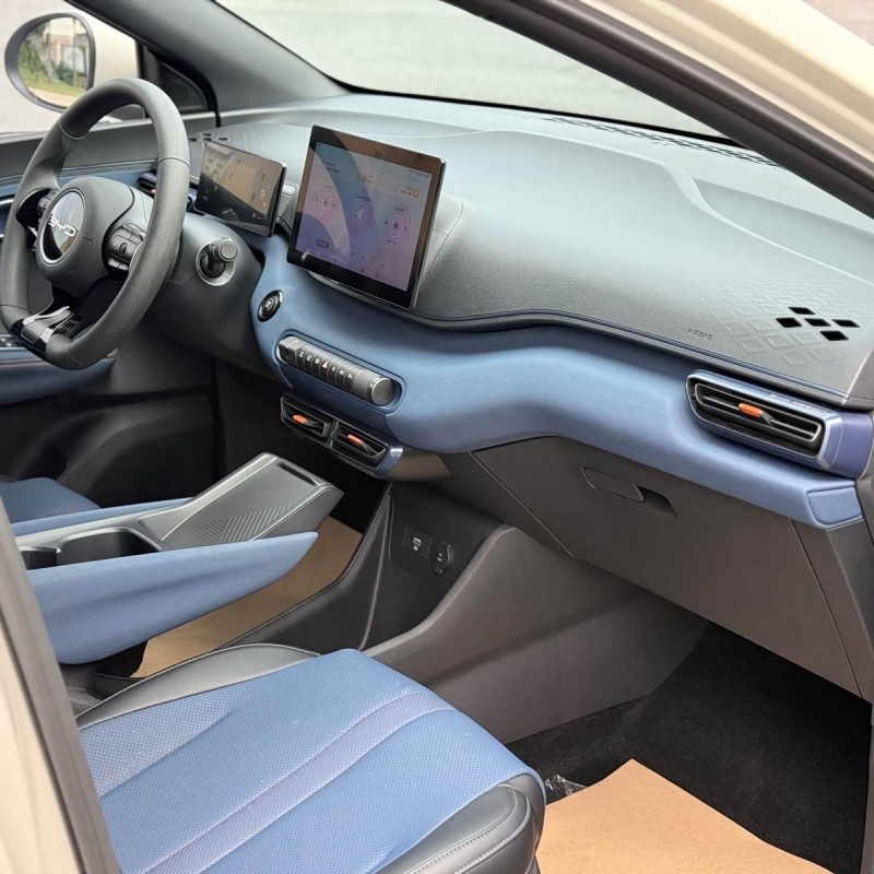 Seagull 2023 Vitality Edition Seagull 2023 Vitality Edition
