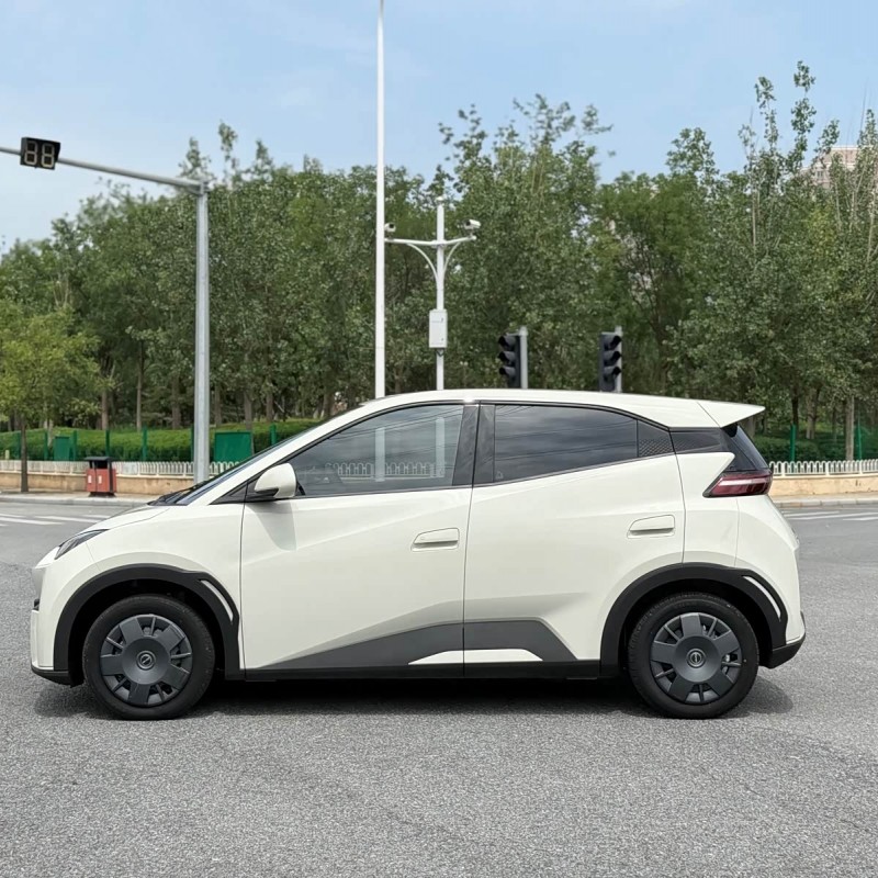 Seagull 2023 Vitality Edition Seagull 2023 Vitality Edition