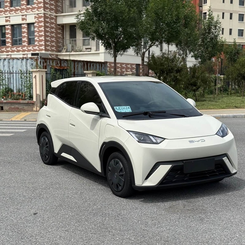 Seagull 2023 Vitality Edition Seagull 2023 Vitality Edition