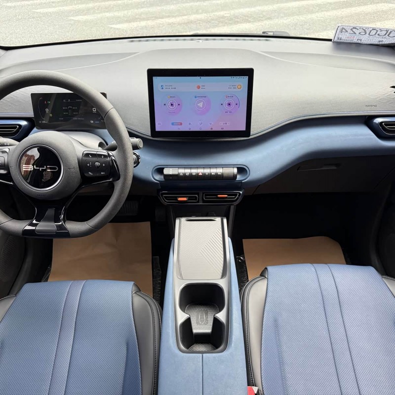 Seagull 2023 Vitality Edition Seagull 2023 Vitality Edition