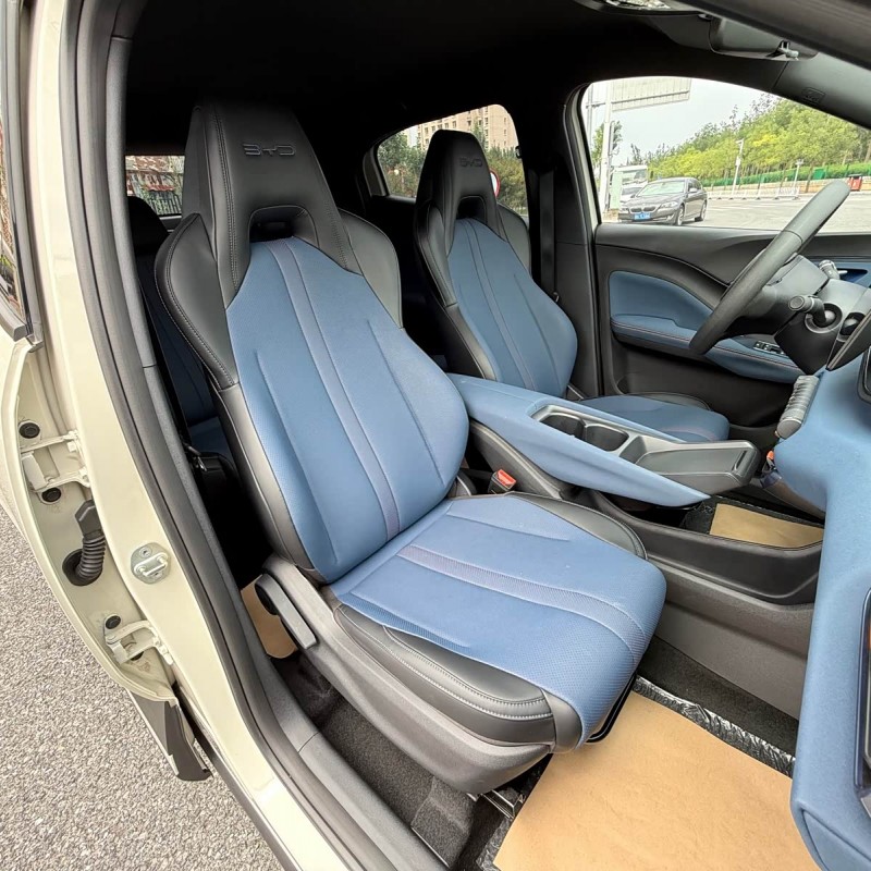 Seagull 2023 Vitality Edition Seagull 2023 Vitality Edition