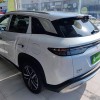 Song L DM-i 2024 model 112km Leading model Song L DM-i 2024 model 112km Leading model