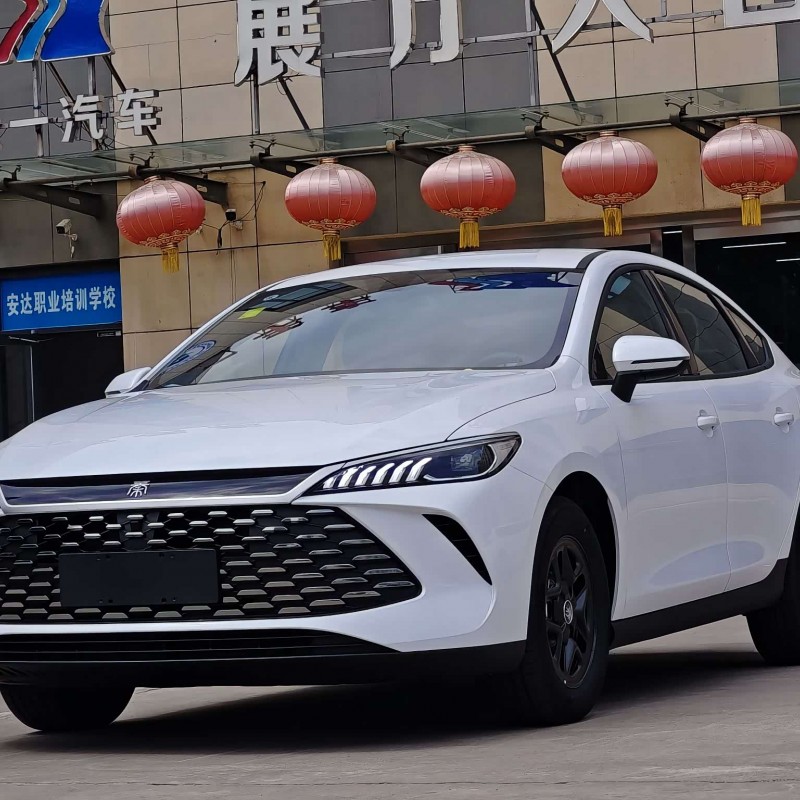 Qin PLUS 2025 DM-i Intelligent Driving Edition 55KM Leading Edition