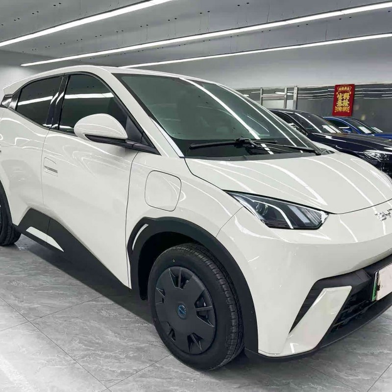 Seagull 2025 305km Vitality Edition Seagull 2025 305km Vitality Edition