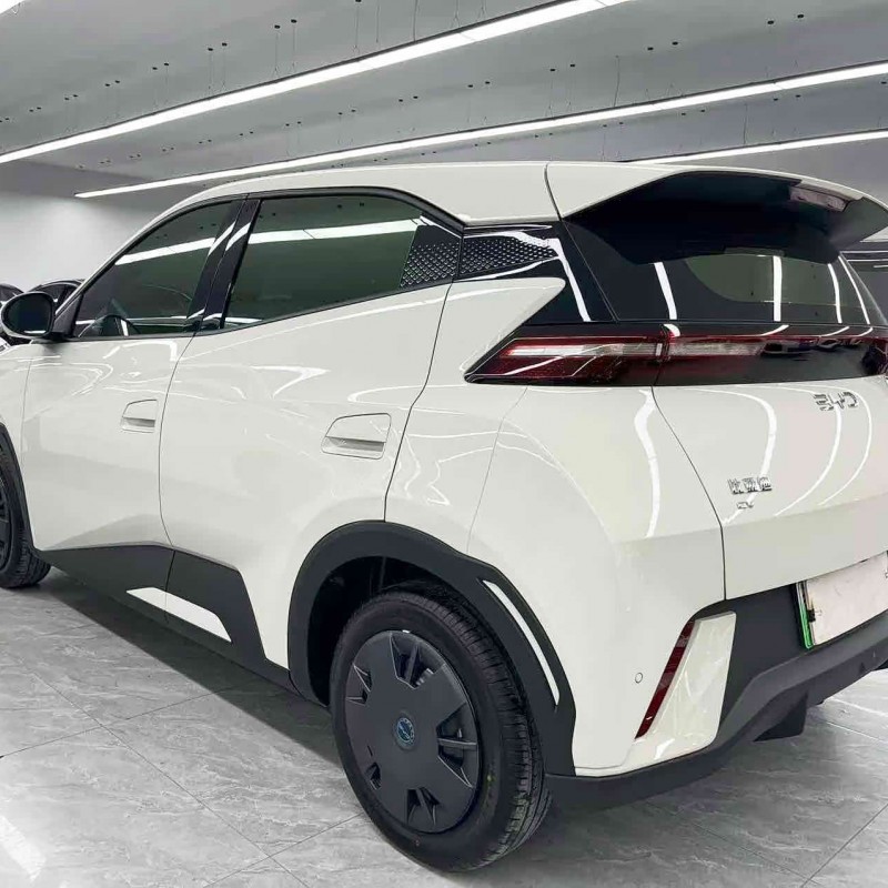 Seagull 2025 305km Vitality Edition Seagull 2025 305km Vitality Edition