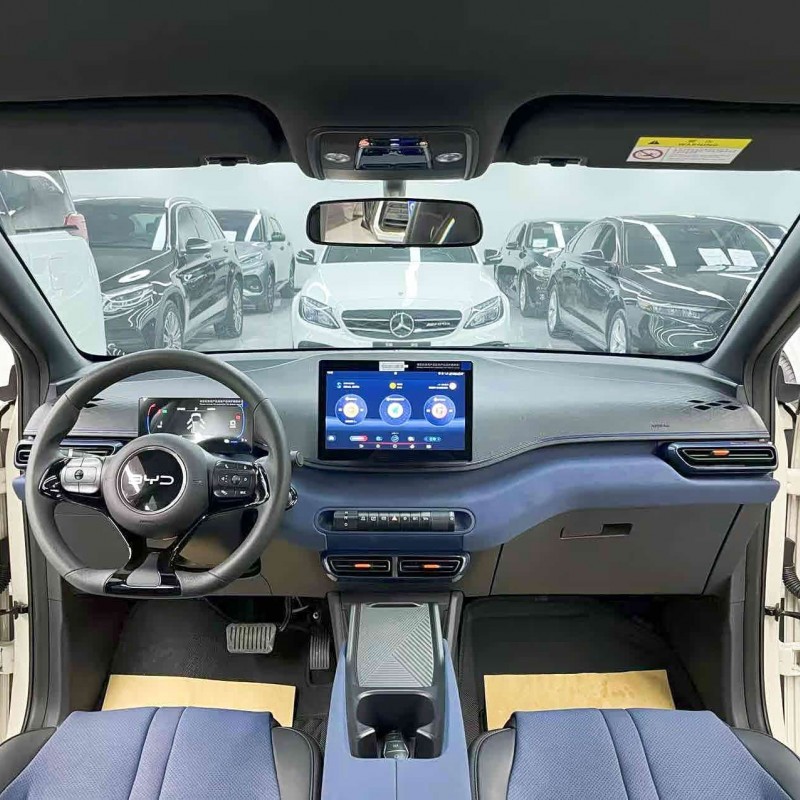 Seagull 2025 305km Vitality Edition Seagull 2025 305km Vitality Edition
