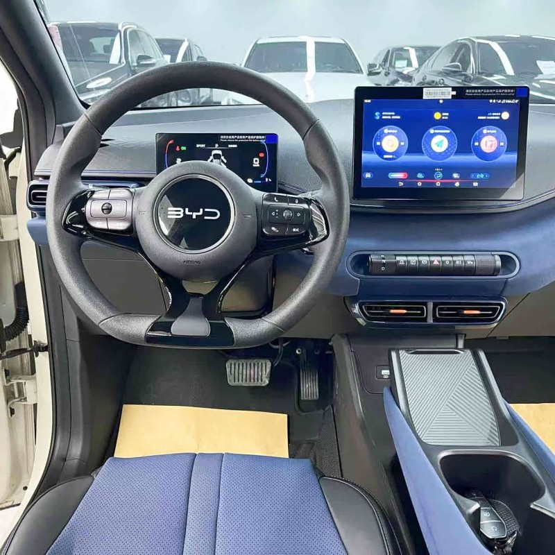 Seagull 2025 305km Vitality Edition Seagull 2025 305km Vitality Edition
