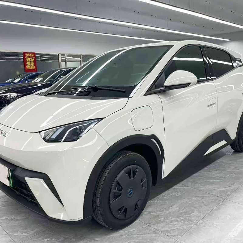 Seagull 2025 305km Vitality Edition Seagull 2025 305km Vitality Edition