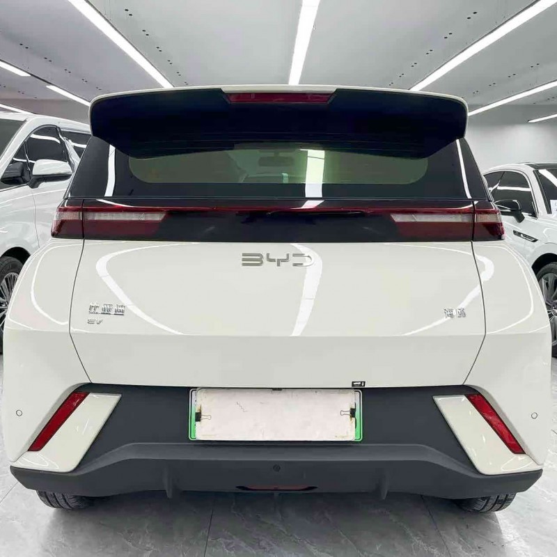 Seagull 2025 305km Vitality Edition Seagull 2025 305km Vitality Edition