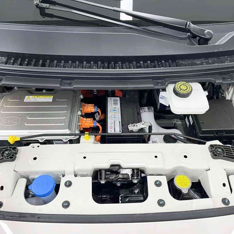 Seagull 2025 305km Vitality Edition Seagull 2025 305km Vitality Edition