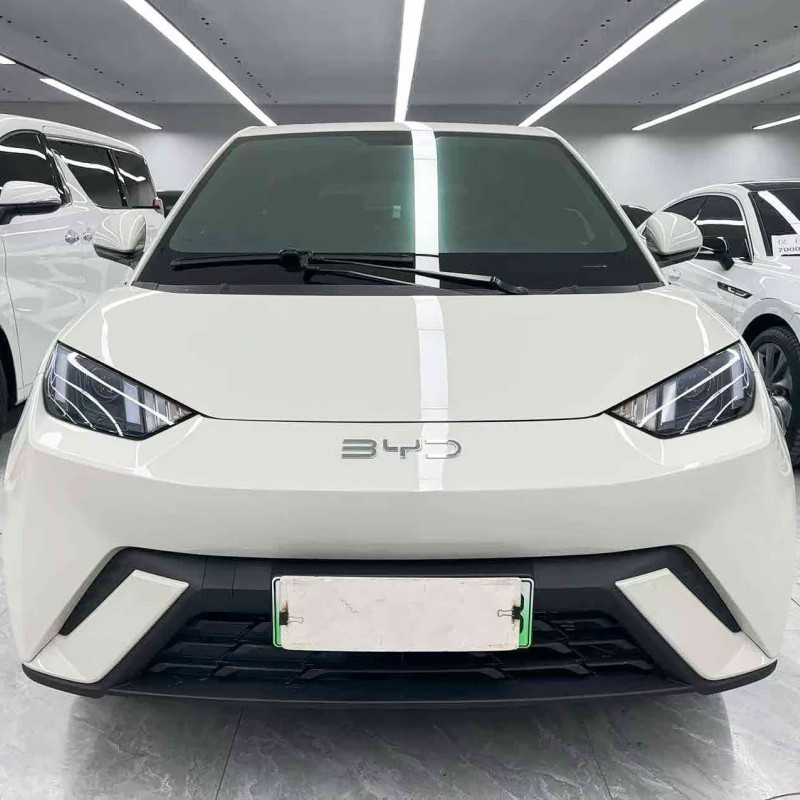 Seagull 2025 305km Vitality Edition Seagull 2025 305km Vitality Edition