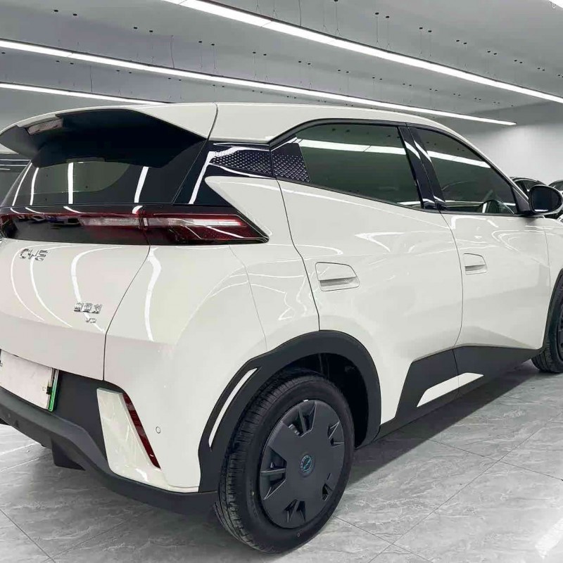 Seagull 2025 305km Vitality Edition Seagull 2025 305km Vitality Edition