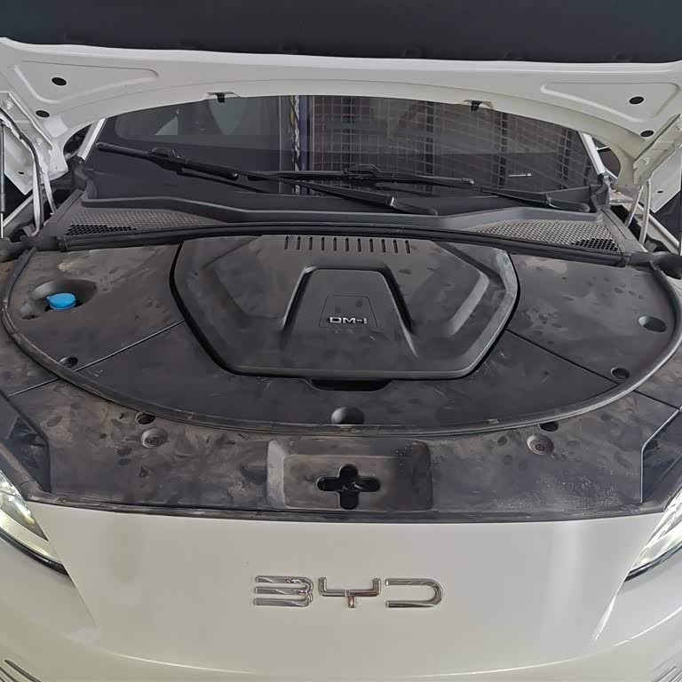 Song PLUS New Energy 2024 Honor Edition DM-i 110km Flagship PLUS Song PLUS New Energy 2024 Honor Edition DM-i 110km Flagship PLUS