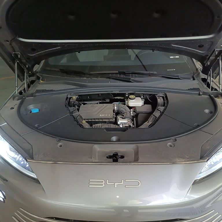Song PLUS New Energy 2024 Honor Edition DM-i 150km Flagship PLUS Song PLUS New Energy 2024 Honor Edition DM-i 150km Flagship PLUS