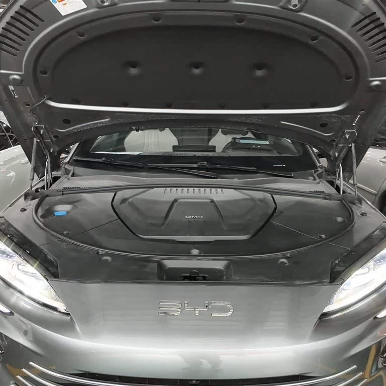 Song PLUS New Energy 2025 DM-i 112KM Premium Edition Song PLUS New Energy 2025 DM-i 112KM Premium Edition