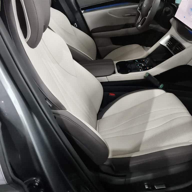Song PLUS New Energy 2025 DM-i 112KM Premium Edition Song PLUS New Energy 2025 DM-i 112KM Premium Edition