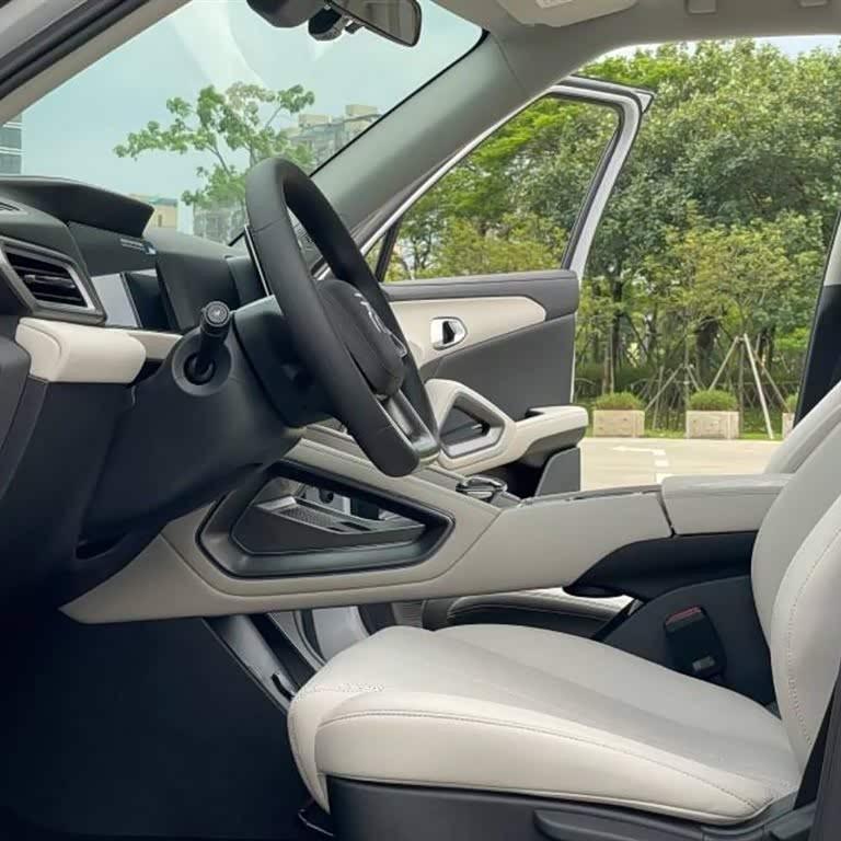 Yuan UP 2024 401KM Vitality Edition Yuan UP 2024 401KM Vitality Edition