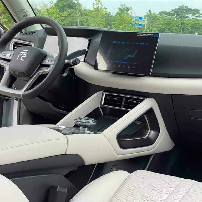 Yuan UP 2024 401KM Vitality Edition Yuan UP 2024 401KM Vitality Edition