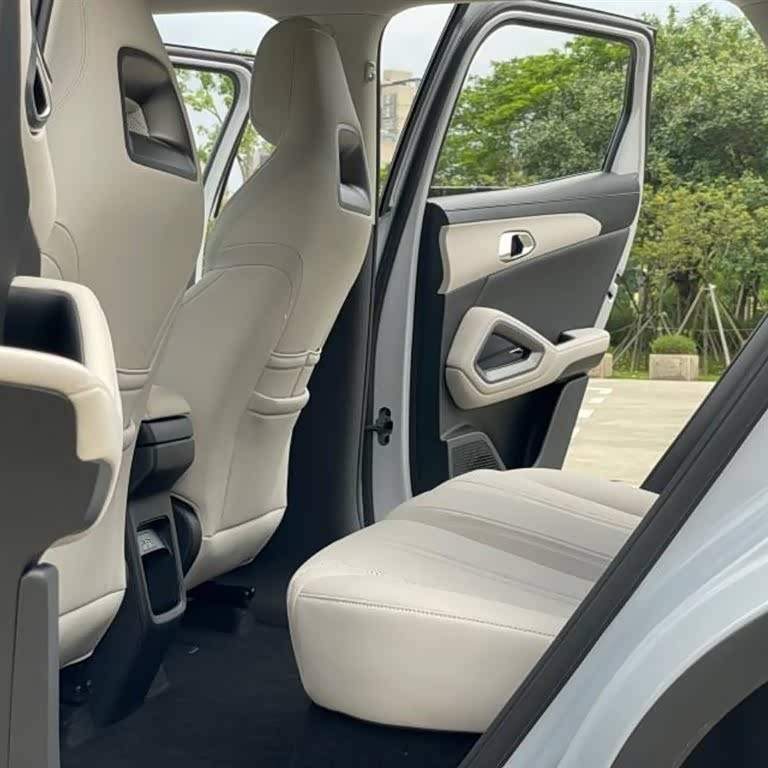 Yuan UP 2024 401KM Vitality Edition Yuan UP 2024 401KM Vitality Edition