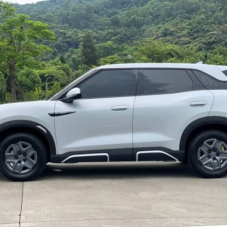 Yuan UP 2024 401KM Vitality Edition Yuan UP 2024 401KM Vitality Edition