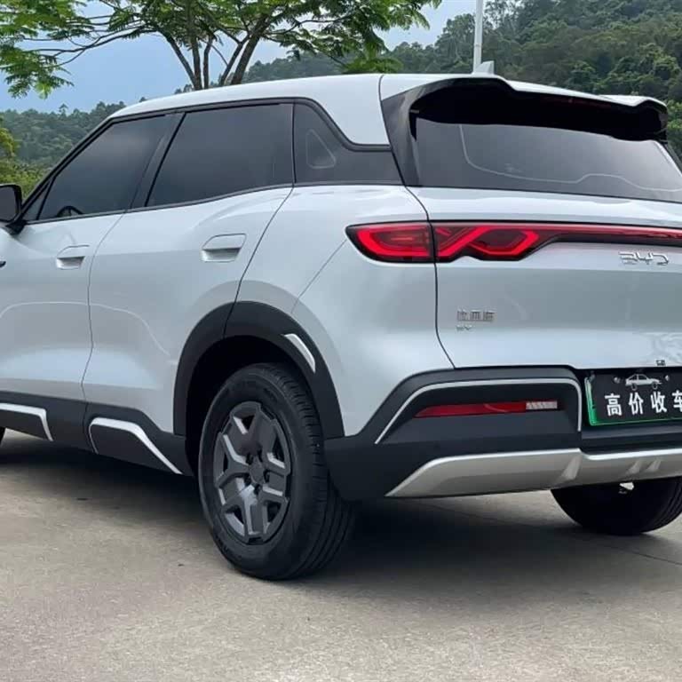Yuan UP 2024 401KM Vitality Edition Yuan UP 2024 401KM Vitality Edition