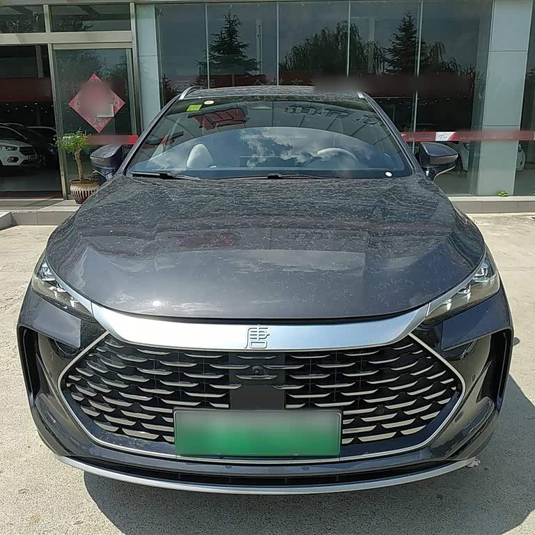Tang New Energy 2025 DM-i 115KM Premium Edition Tang New Energy 2025 DM-i 115KM Premium Edition