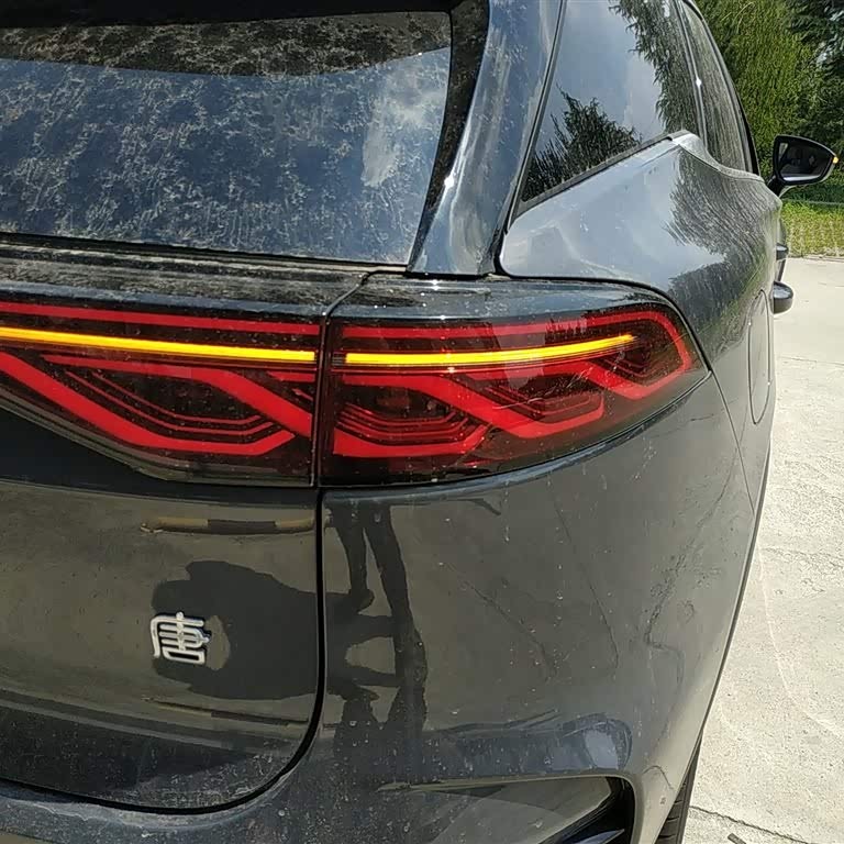 Tang New Energy 2025 DM-i 115KM Premium Edition Tang New Energy 2025 DM-i 115KM Premium Edition