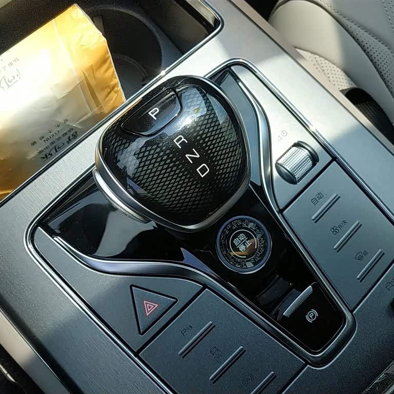 Tang New Energy 2025 DM-i 115KM Premium Edition Tang New Energy 2025 DM-i 115KM Premium Edition