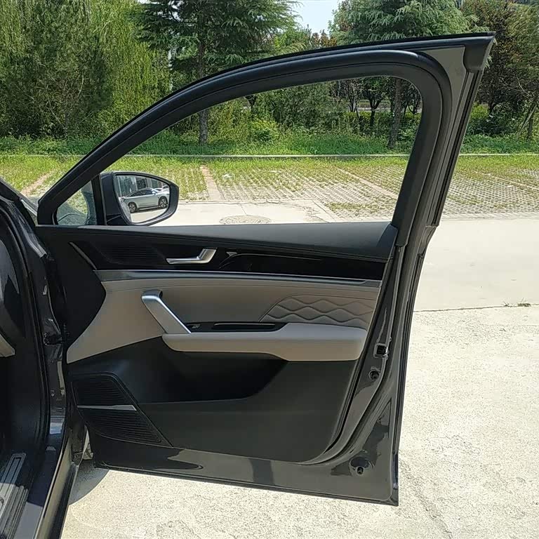 Tang New Energy 2025 DM-i 115KM Premium Edition Tang New Energy 2025 DM-i 115KM Premium Edition