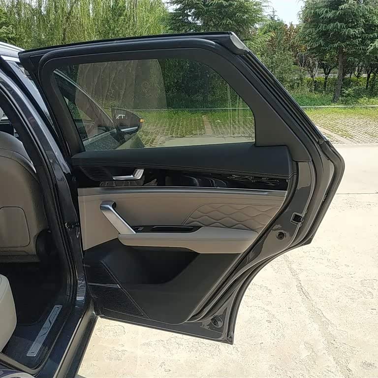 Tang New Energy 2025 DM-i 115KM Premium Edition Tang New Energy 2025 DM-i 115KM Premium Edition