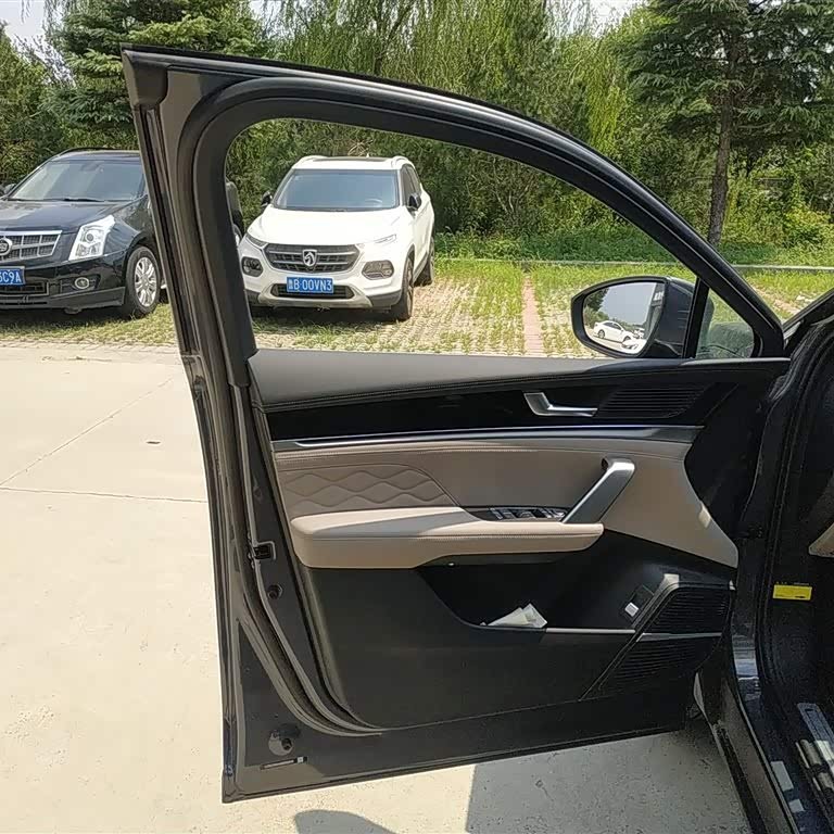 Tang New Energy 2025 DM-i 115KM Premium Edition Tang New Energy 2025 DM-i 115KM Premium Edition