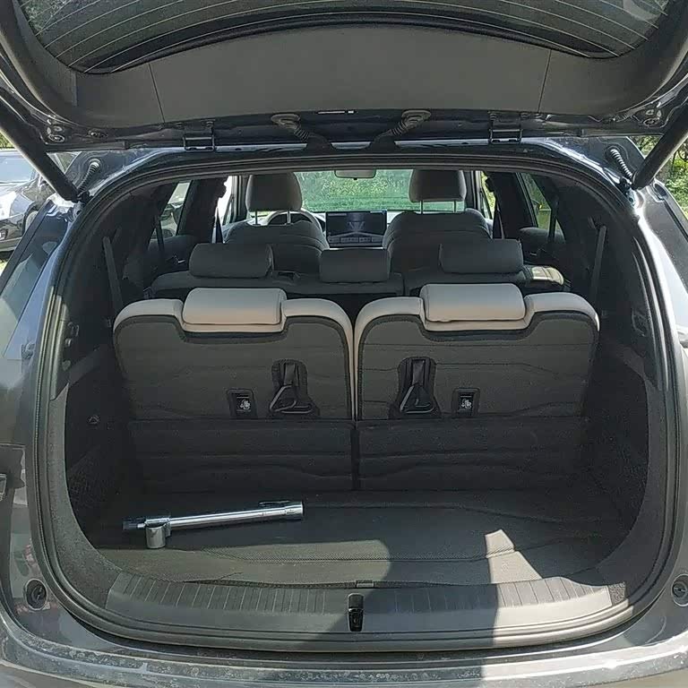 Tang New Energy 2025 DM-i 115KM Premium Edition Tang New Energy 2025 DM-i 115KM Premium Edition