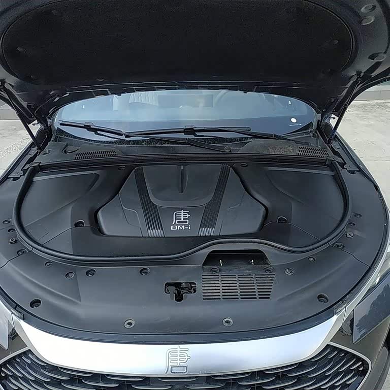 Tang New Energy 2025 DM-i 115KM Premium Edition Tang New Energy 2025 DM-i 115KM Premium Edition