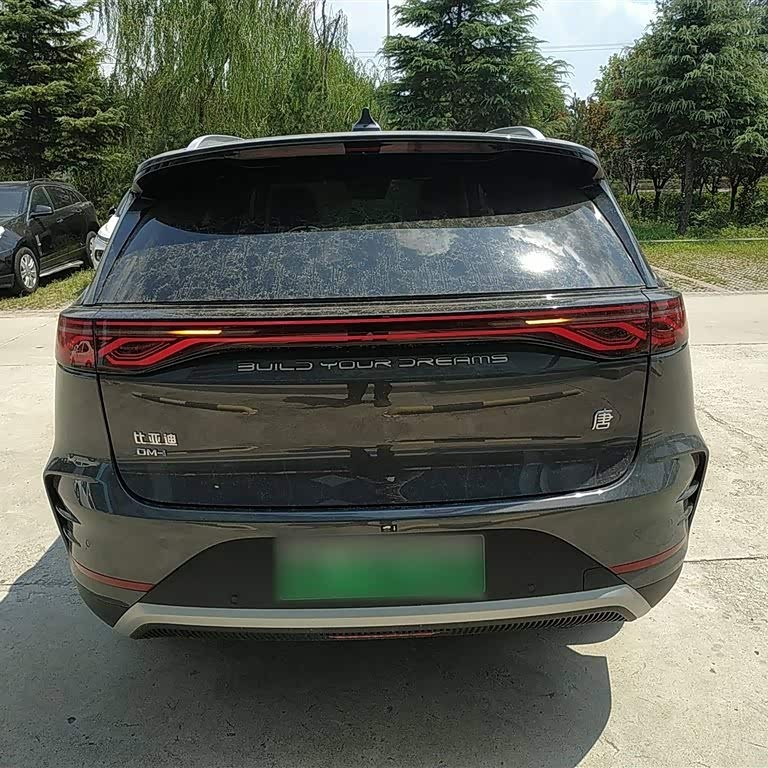 Tang New Energy 2025 DM-i 115KM Premium Edition Tang New Energy 2025 DM-i 115KM Premium Edition